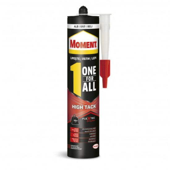 SILICON ADEZIV MULTISUPRAFETE, INTERIOR/EXTERIOR, MOMENT ONE FOR ALL – MOMENT